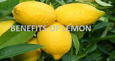 Benefits of Lemon