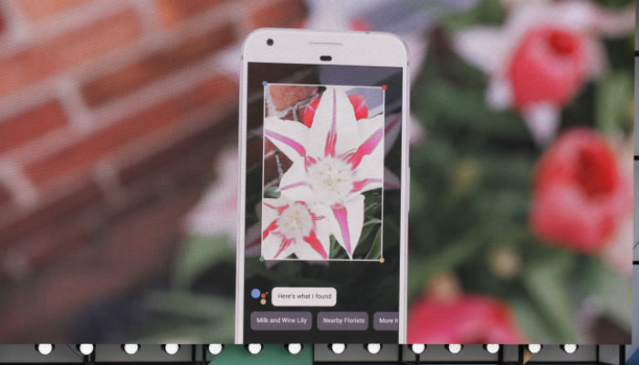 Google Lens: The Future Of Artificial Intelligence?