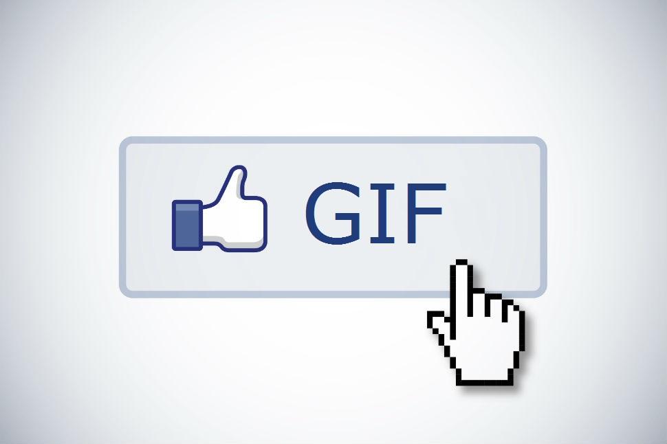 Facebook Comments have GIFS option now